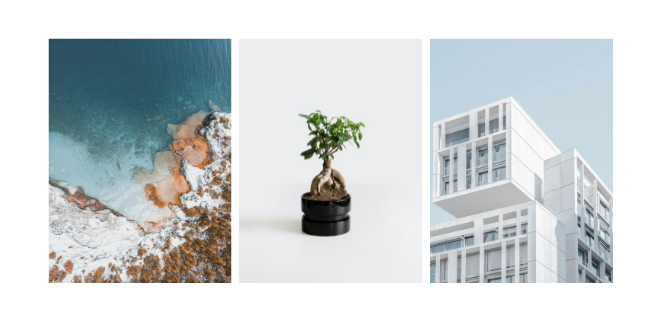 lightbox galeria zdjęć